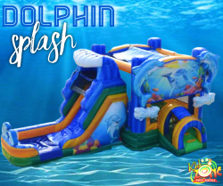 155EFCA6 5129 4943 A2C9 42DC5BDC4489 1665775200 Dolphin Splash