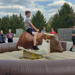 bull202 1620170496 Mechanical Bull