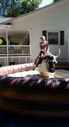 bull5 1619791175 Mechanical Bull