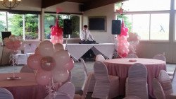 djing 1619665506 DJ Services