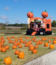 20231007 112643 1696709171 Halloween Bounce House