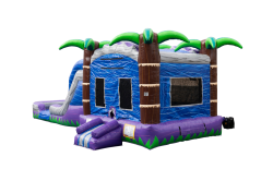 Tropical20breeze203 1759410764 1 Tropical Breeze Splash