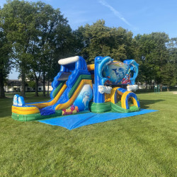 dolph 1768327343 Dolphin Splash